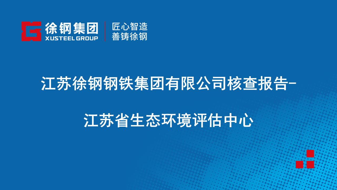 江蘇徐鋼鋼鐵集團(tuán)有限公司核查報(bào)告-江蘇省生態(tài)環(huán)境評估中心